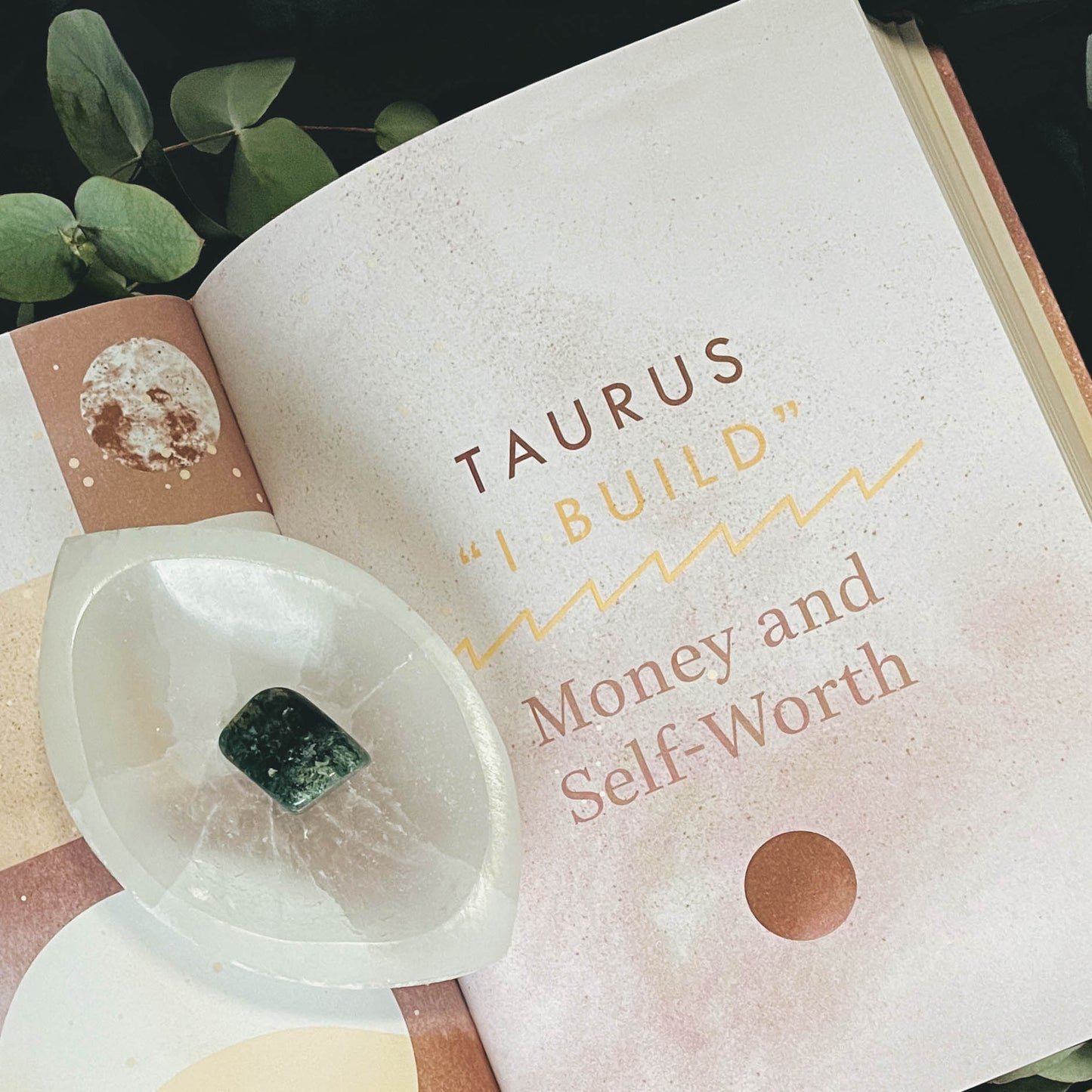 Moon Journal: A Journey of Self-Reflection