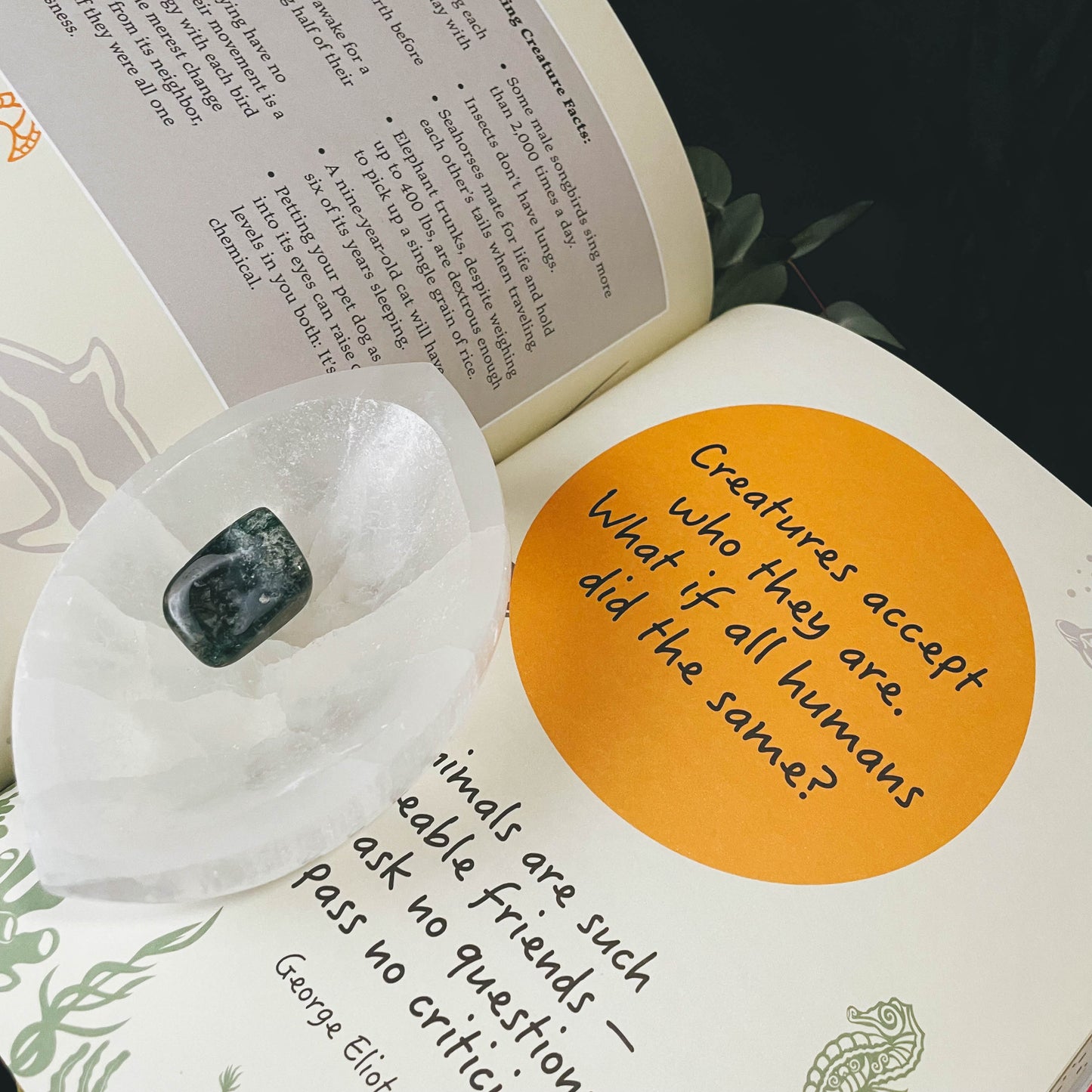 Joy Of Mindful Journaling