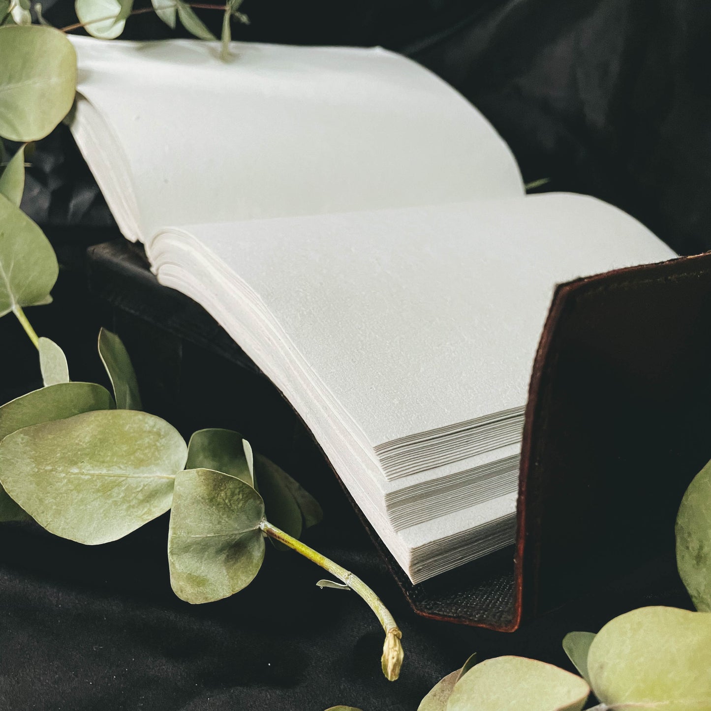 Leather Journal with Wood Peg Closure