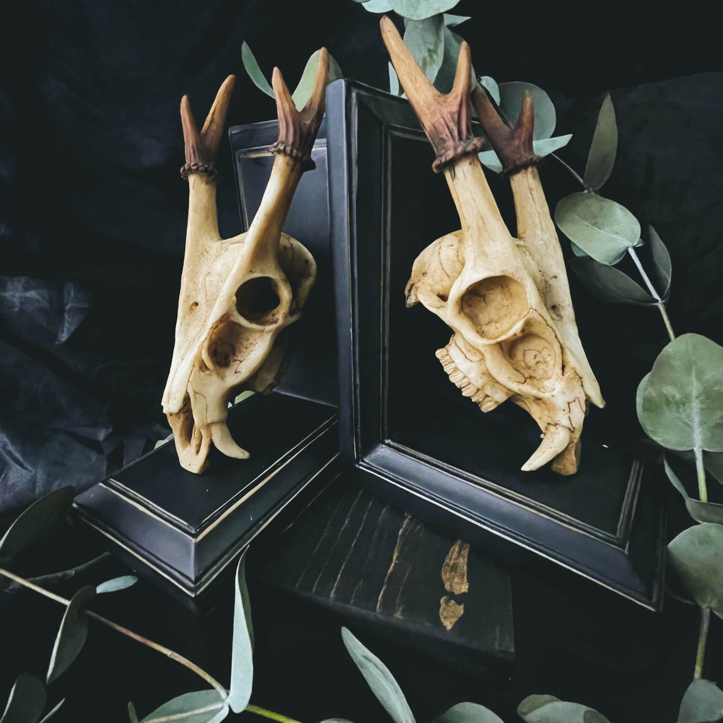 Red Muntjac Book Ends Set