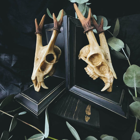 Red Muntjac Book Ends Set