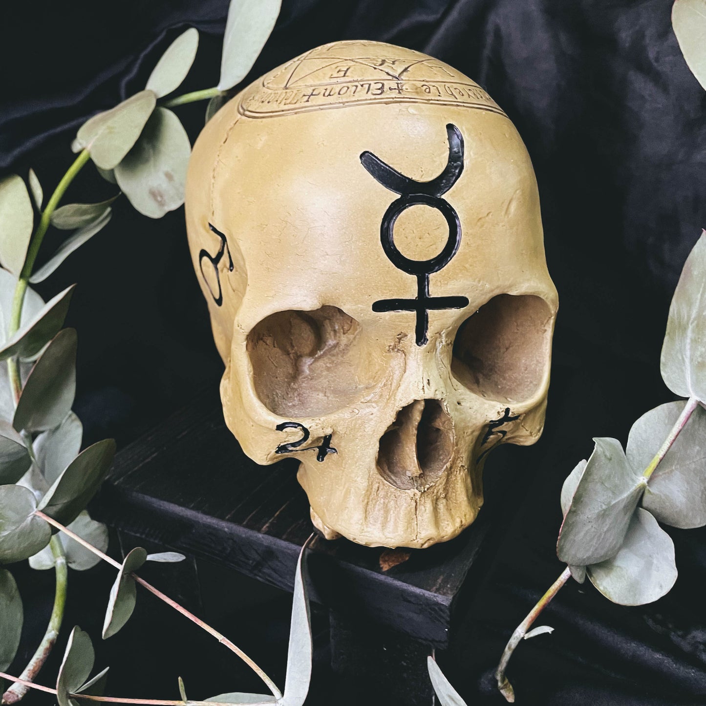 Occult Skull