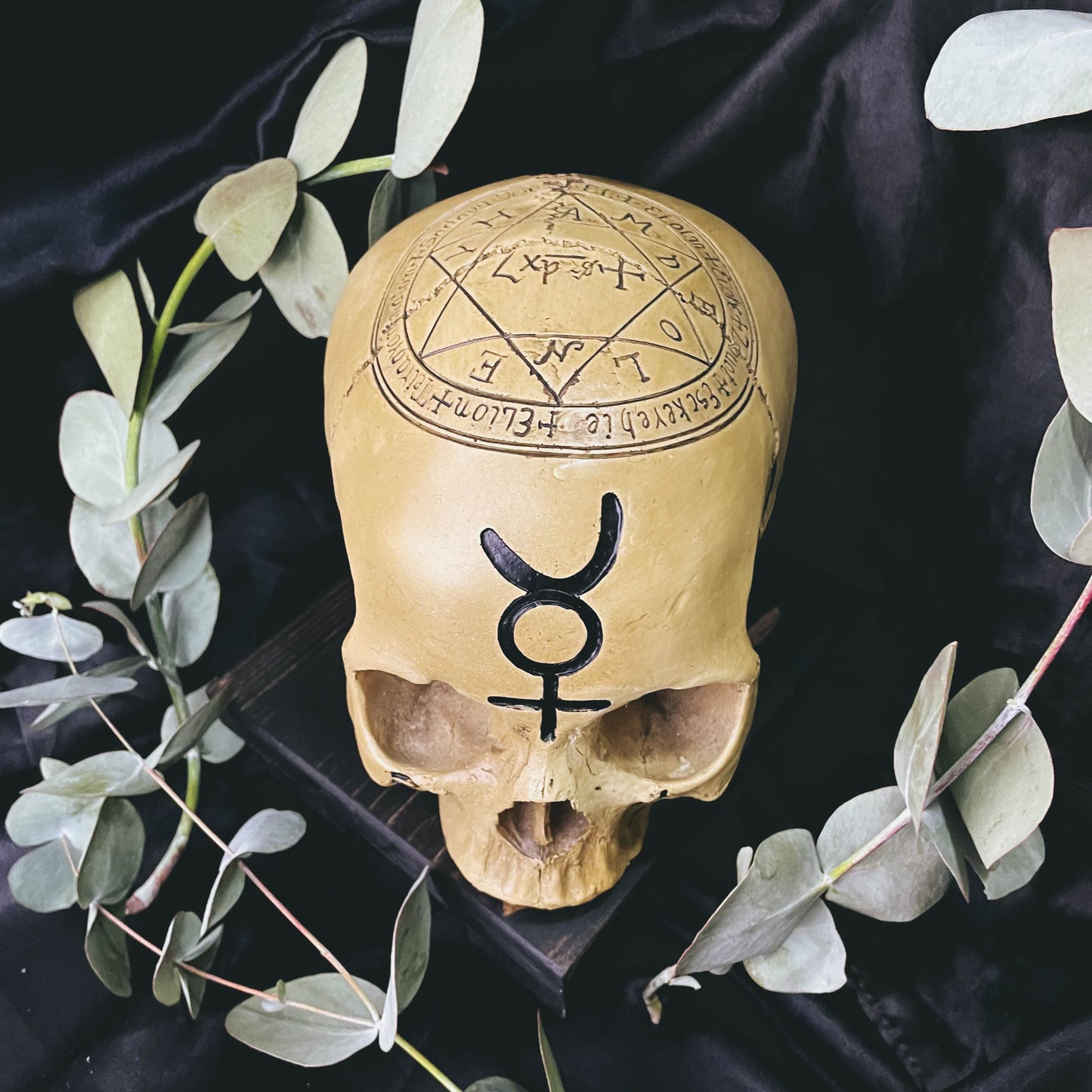 Occult Skull