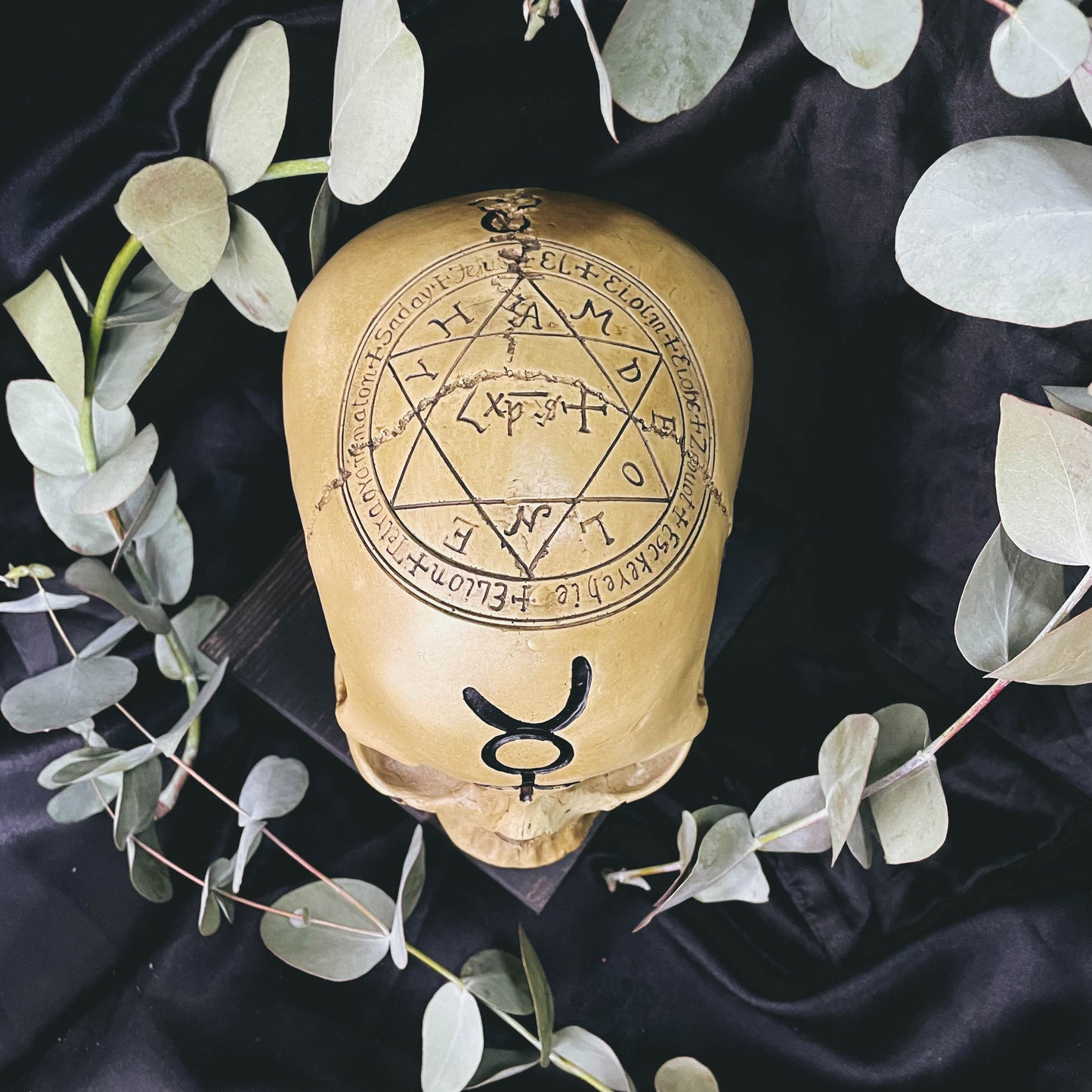 Occult Skull
