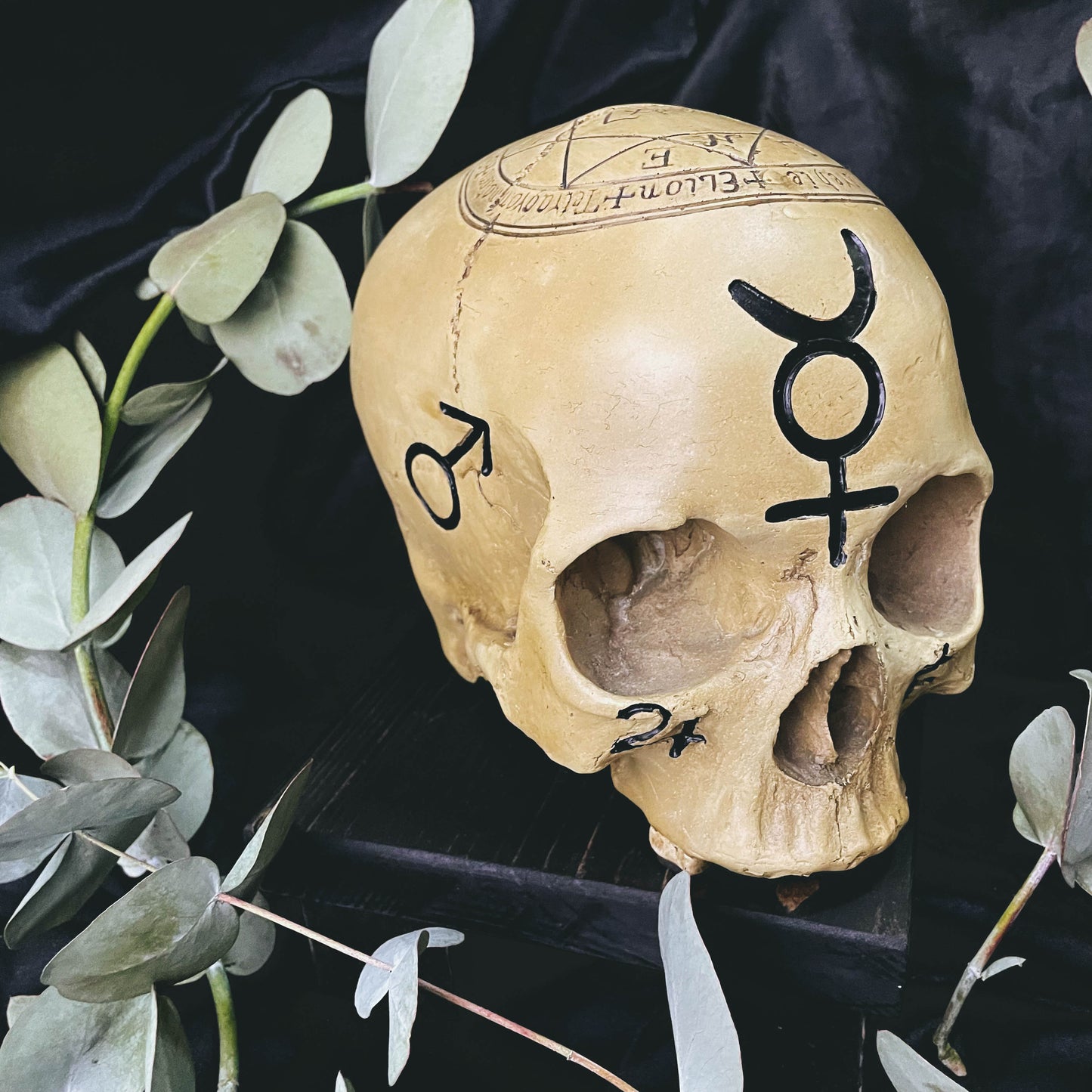 Occult Skull